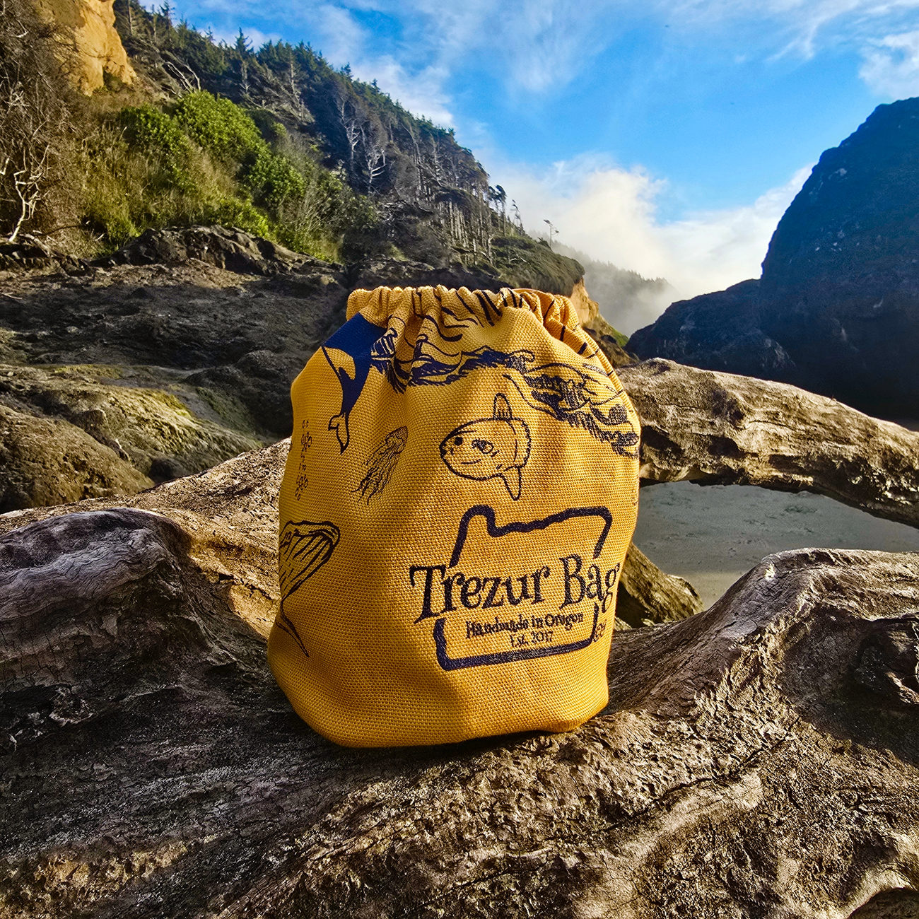 Gold Trezur Bag photographed alone on the Oregon Coast